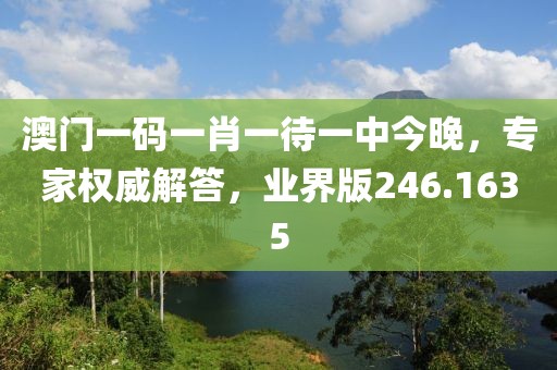 澳門一碼一肖一待一中今晚，專家權(quán)威解答，業(yè)界版246.1635