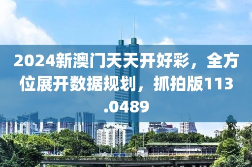 2024新澳門天天開好彩，全方位展開數(shù)據(jù)規(guī)劃，抓拍版113.0489