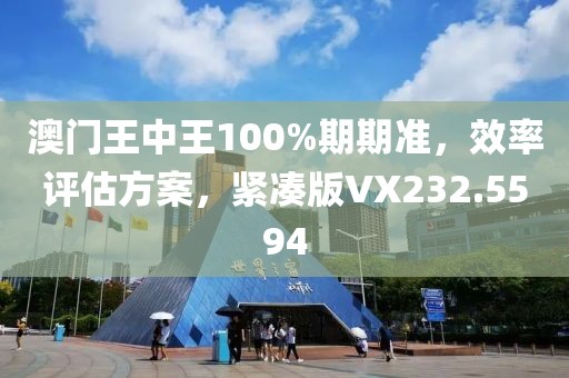 澳門王中王100%期期準，效率評估方案，緊湊版VX232.5594