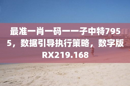 最準一肖一碼一一子中特7955，數據引導執(zhí)行策略，數字版RX219.168