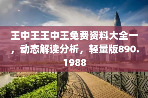 王中王王中王免費(fèi)資料大全一，動(dòng)態(tài)解讀分析，輕量版890.1988