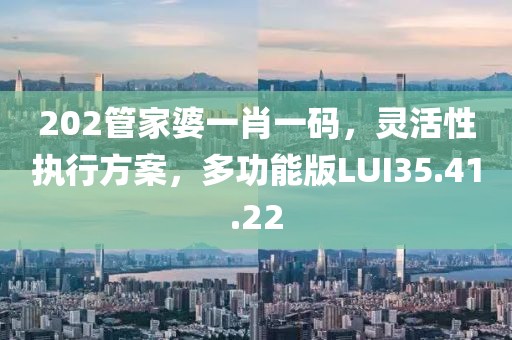 202管家婆一肖一碼，靈活性執(zhí)行方案，多功能版LUI35.41.22