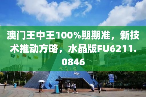 澳門王中王100%期期準(zhǔn)，新技術(shù)推動方略，水晶版FU6211.0846