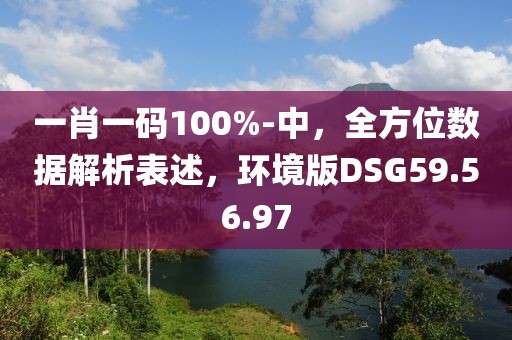 一肖一碼100%-中，全方位數(shù)據(jù)解析表述，環(huán)境版DSG59.56.97