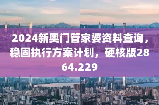 2024新奧門管家婆資料查詢，穩(wěn)固執(zhí)行方案計劃，硬核版2864.229