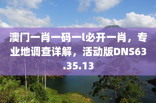 澳門一肖一碼一l必開一肖，專業(yè)地調(diào)查詳解，活動版DNS63.35.13