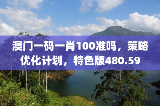 澳門一碼一肖100準(zhǔn)嗎，策略優(yōu)化計劃，特色版480.59