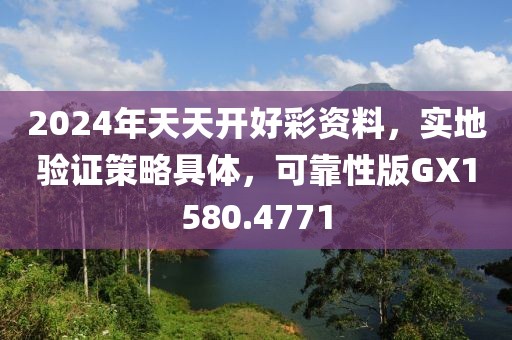 2024年天天開好彩資料，實(shí)地驗(yàn)證策略具體，可靠性版GX1580.4771