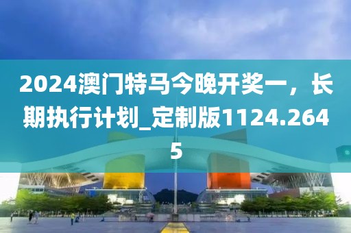 2024澳門特馬今晚開獎一，長期執(zhí)行計劃_定制版1124.2645