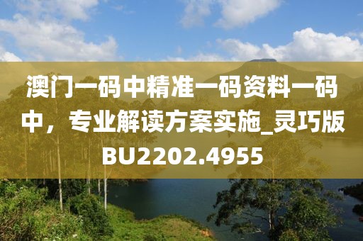 澳門一碼中精準(zhǔn)一碼資料一碼中，專業(yè)解讀方案實(shí)施_靈巧版BU2202.4955