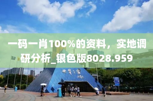 一碼一肖100%的資料，實(shí)地調(diào)研分析_銀色版8028.959