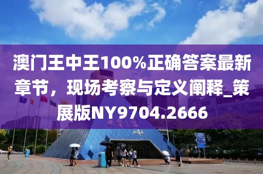 澳門(mén)王中王100%正確答案最新章節(jié)，現(xiàn)場(chǎng)考察與定義闡釋_策展版NY9704.2666