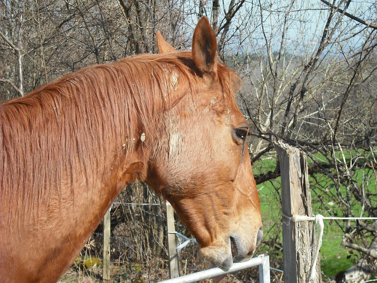 今晚澳門馬出什么特馬,60斤暴瘦秘訣大揭秘：DZR82.59的減肥方法