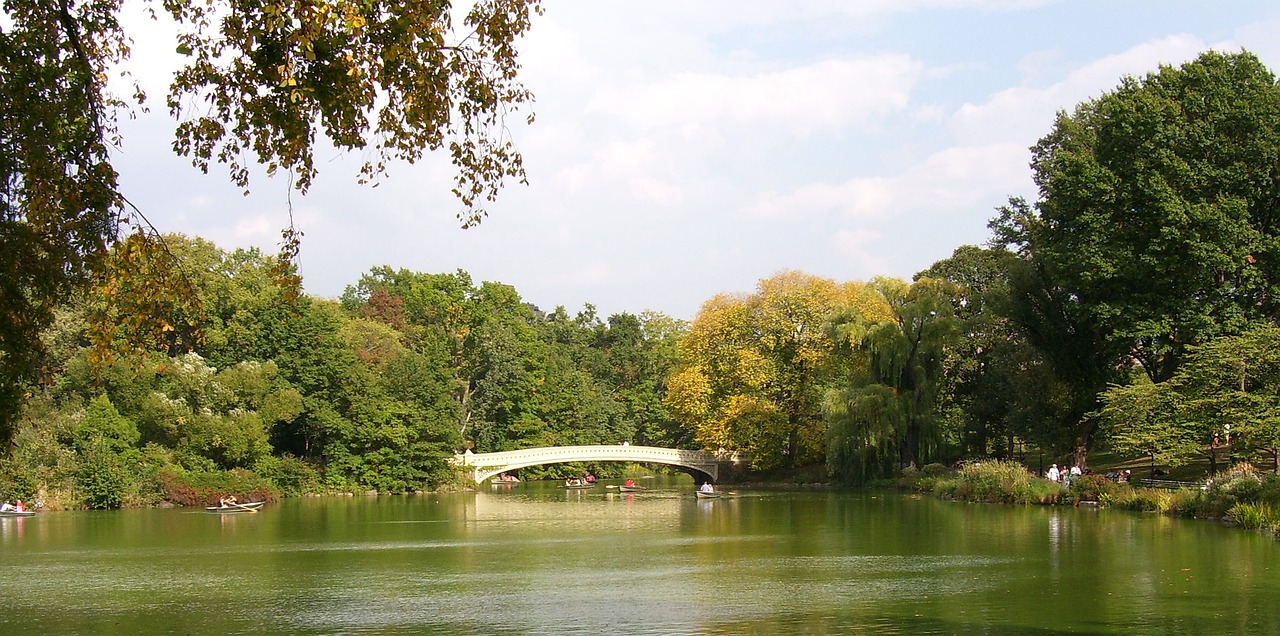 偉業(yè)中央公園最新動(dòng)態(tài)，開啟城市綠色生活新篇章