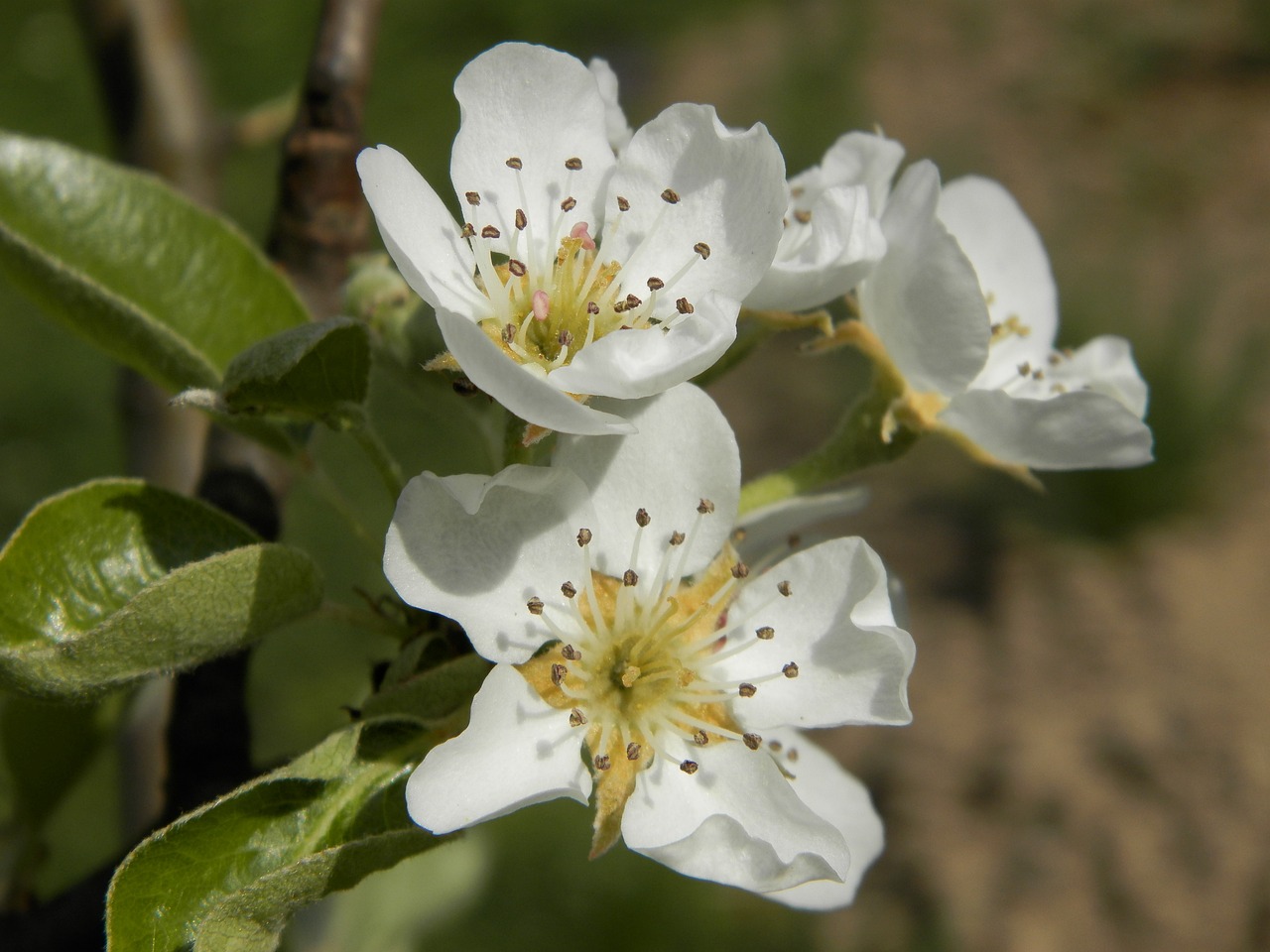 極品桃花命，命運(yùn)桃花盛開(kāi)最新章節(jié)